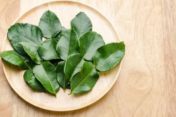 Top 10 green leafy vegetables that are full of calcium Strengthen bones
